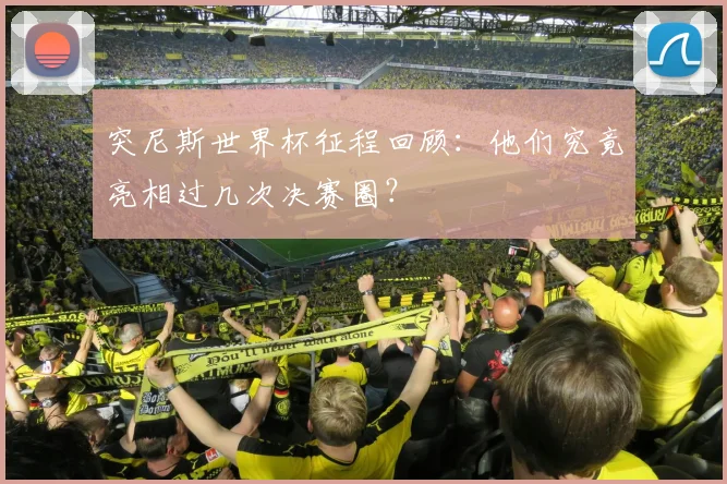 突尼斯世界杯征程回顾：他们究竟亮相过几次决赛圈？