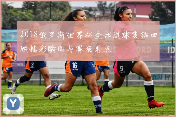 2018俄罗斯世界杯全部进球集锦回顾精彩瞬间与赛场看点