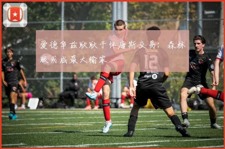 爱德华兹耿耿于怀唐斯交易:森林狼或成最大输家