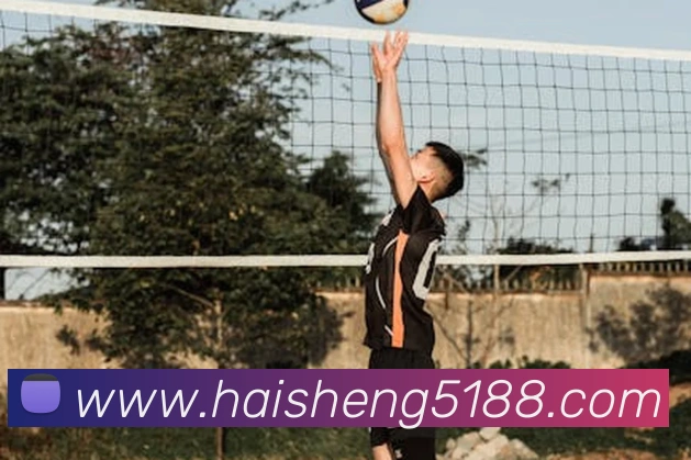 半岛网页版官网平台生态图